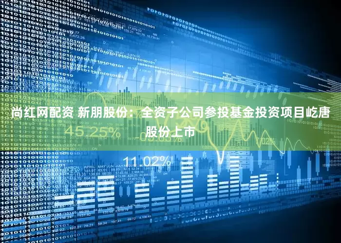 尚红网配资 新朋股份：全资子公司参投基金投资项目屹唐股份上市