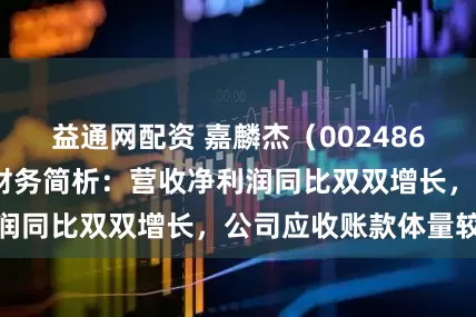 益通网配资 嘉麟杰（002486）2025年中报财务简析：营收净利润同比双双增长，公司应收账款体量较大